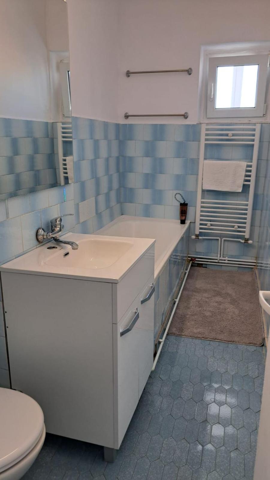 Apartment Nicol Drobeta Turnu Severin
